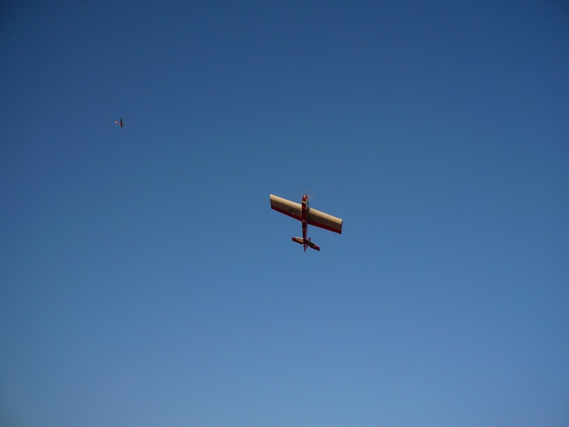 P1000363.JPG