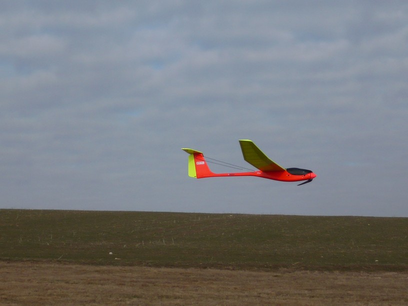 P1000278.JPG