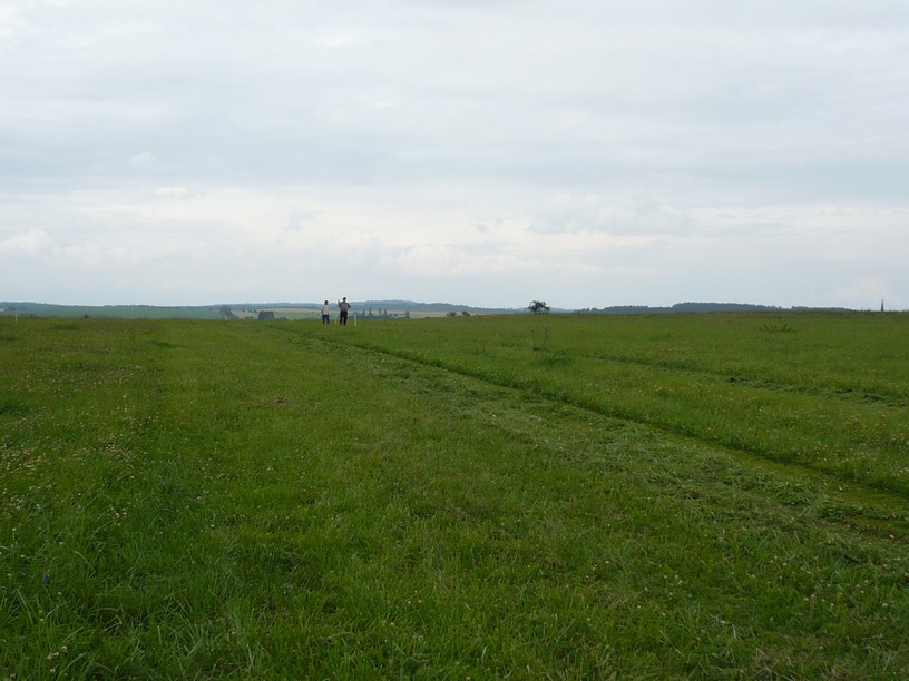 P1100828.JPG