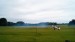 DSC06019